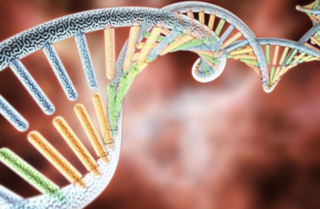 Avesthagen introduces innovative platform for precision diagnostics