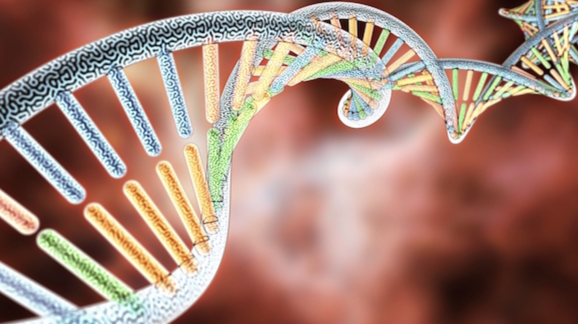 Avesthagen introduces innovative platform for precision diagnostics